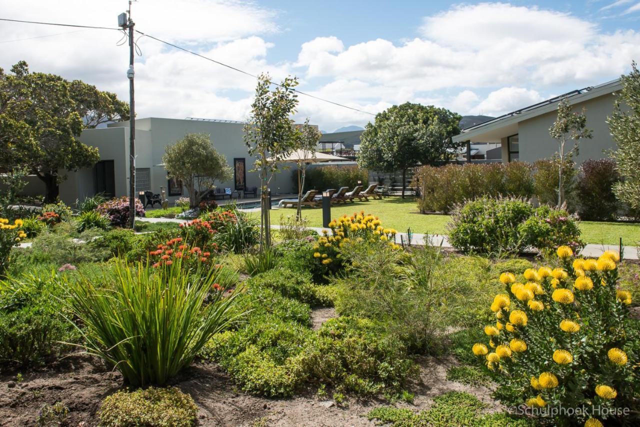 Schulphoek Seafront House Hermanus Kültér fotó The courtyard at the school
